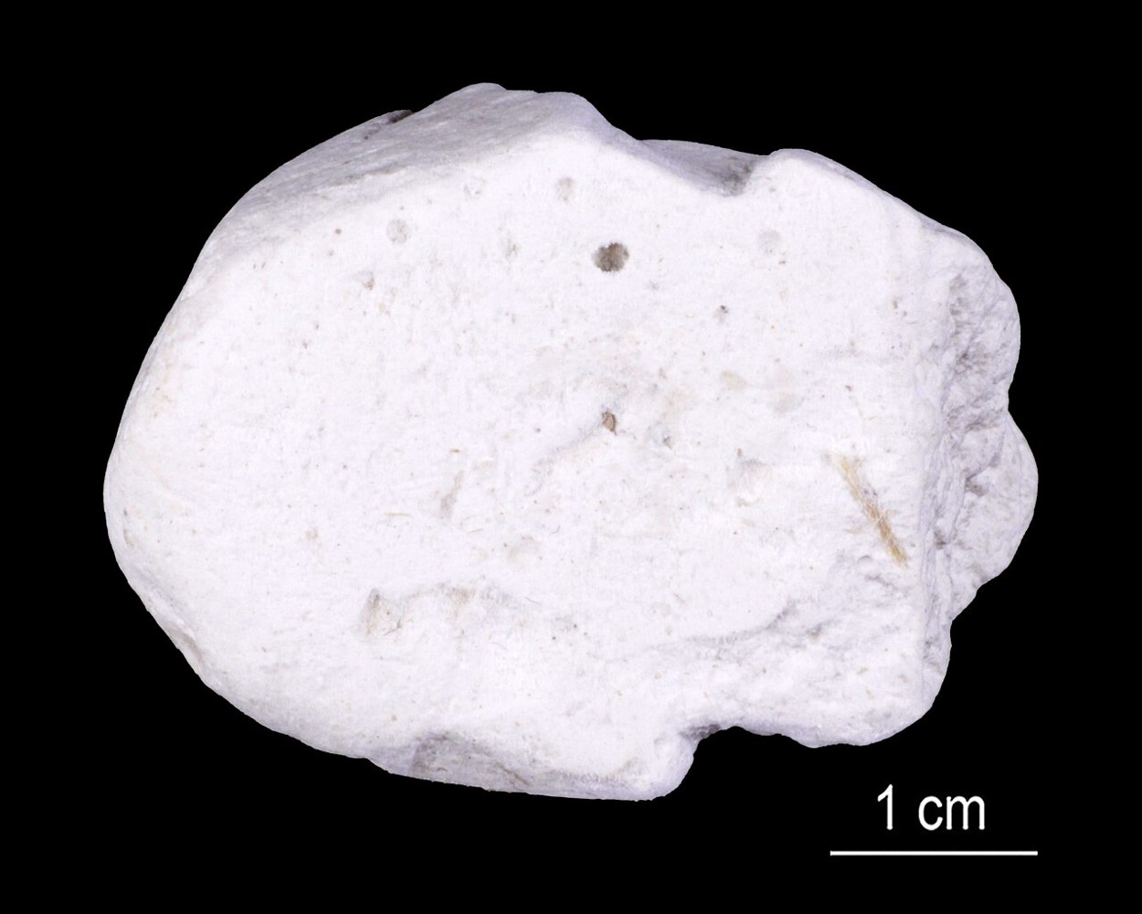 A kaolin specimen from the Estonian Museum of Natural History collection. File illustration, not a sample verified from Benue.