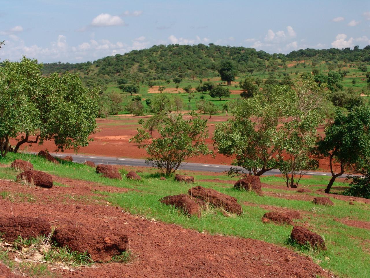 Sahel woodland near Kayes in Mali. File illustration of a regional environment, not a Nigerian project site.