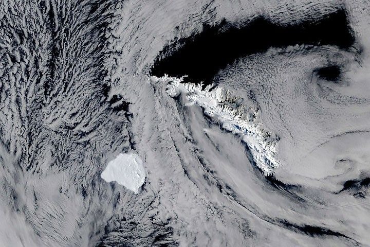 Terra satellite image of iceberg A-81 near South Georgia on October 20, 2026. NASA Earth Observatory/Michala Garrison, using MODIS data.