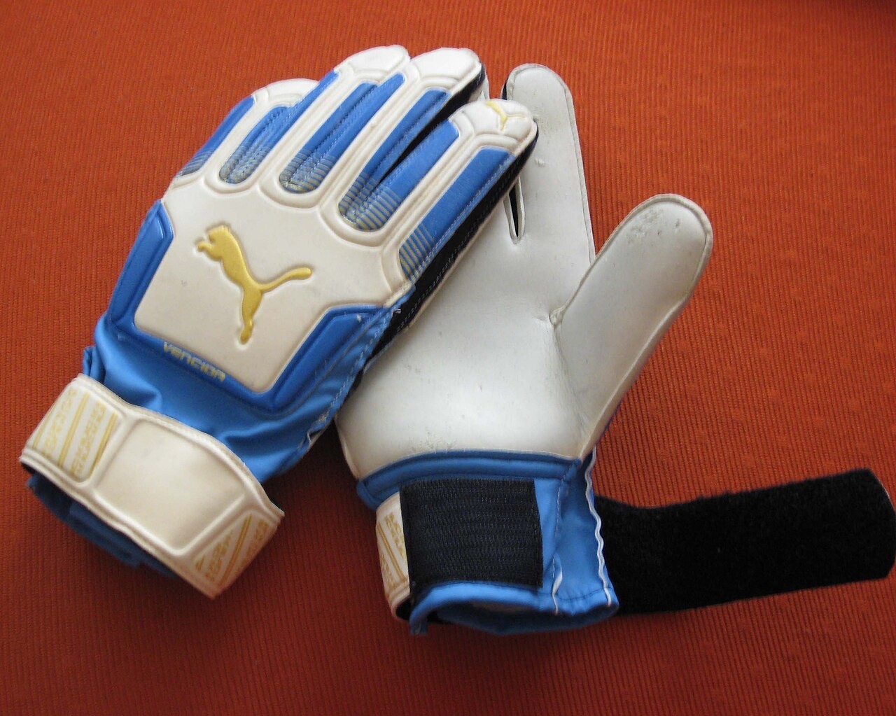 Goalkeeper gloves in a contextual photograph. These are not identified as Maduka Okoye’s match equipment.