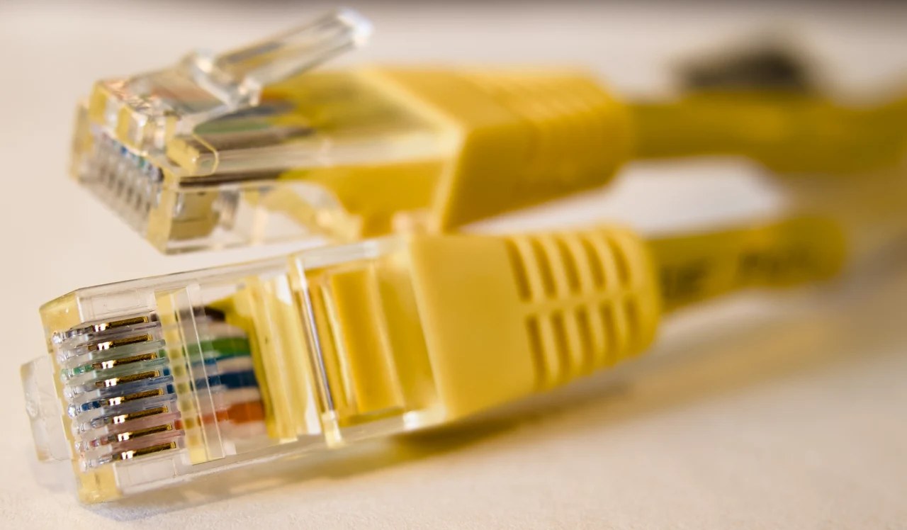 An Ethernet connector. Context photograph illustrating internet connectivity; not documentation of a particular shutdown.